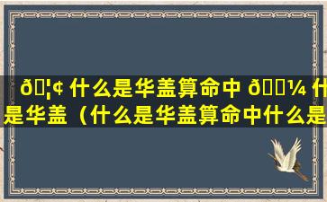 🦢 什么是华盖算命中 🌼 什么是华盖（什么是华盖算命中什么是华盖呢）